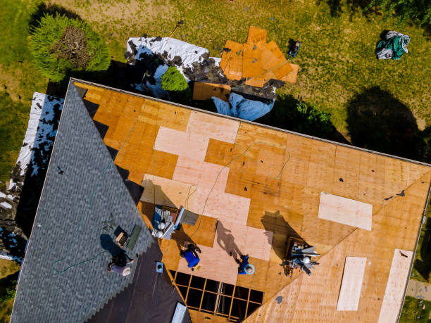 Best Slate Roofing Contractor  in Pelahatchie, MS