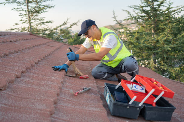 Professional Roofing Contractor in Pelahatchie, MS