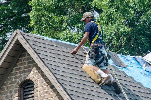 Best Roof Gutter Cleaning  in Pelahatchie, MS